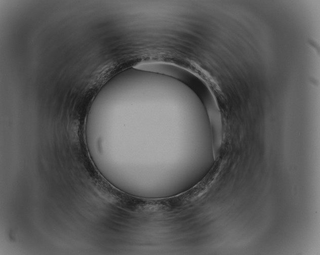 X0000091720209200709211007