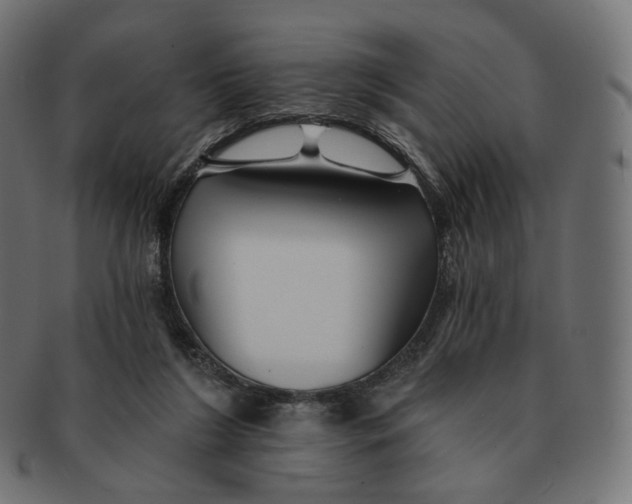 X0000091720212200709211007