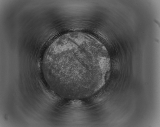 X0000091720214200709211007