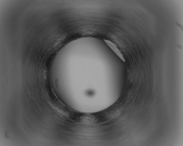 X0000091720215200709211007