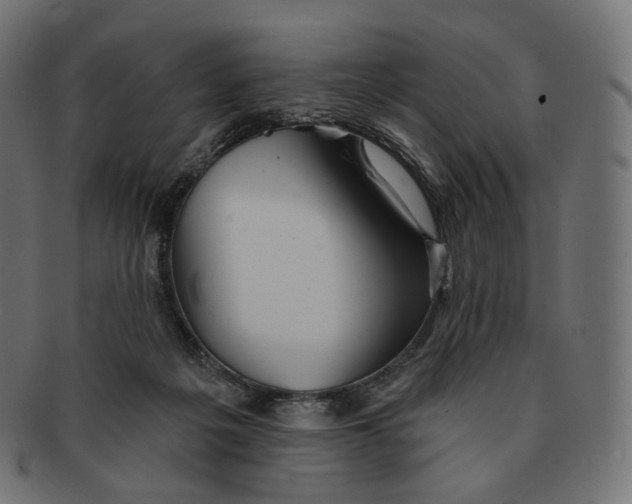 X0000091720217200709211007