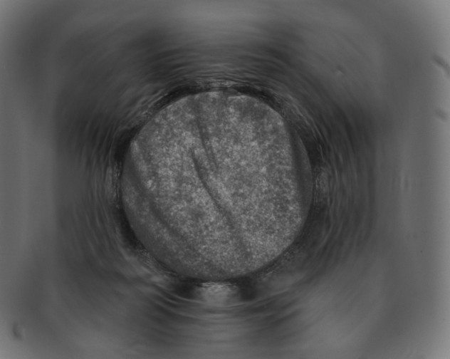 X0000091720218200709211007