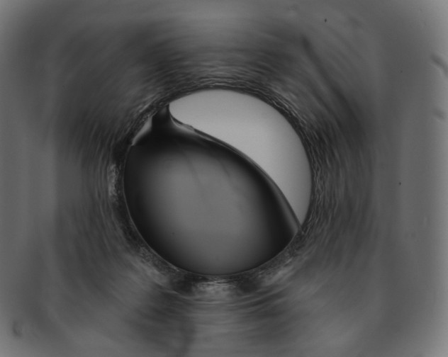 X0000091720219200709211007