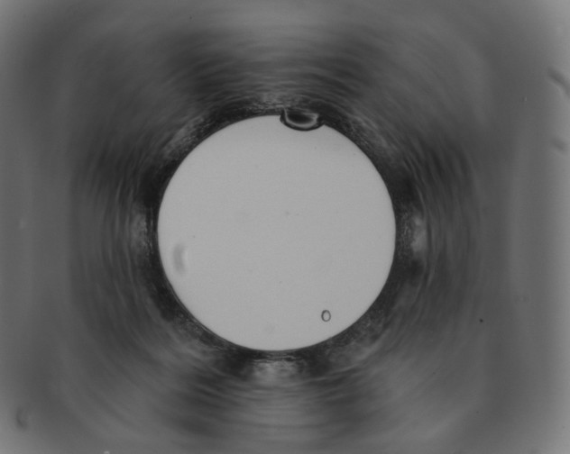 X0000091720220200709211007