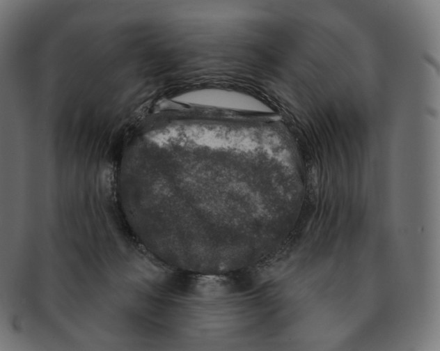 X0000091720222200709211007