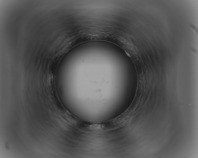 X0000091720225200709211007