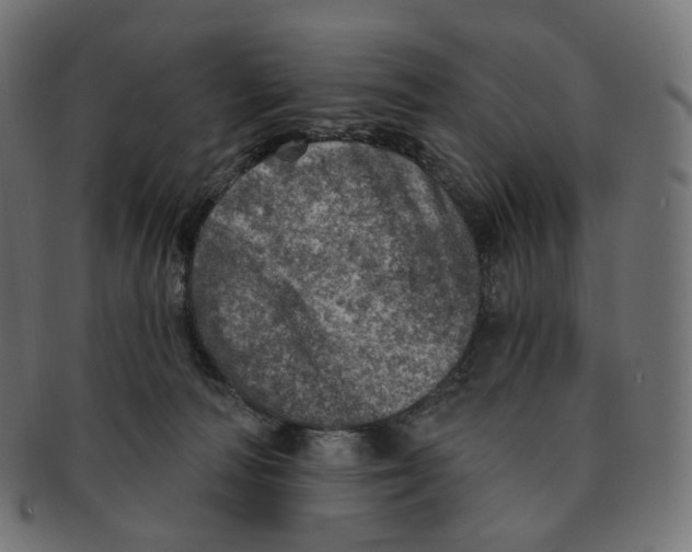 X0000091720226200709211007