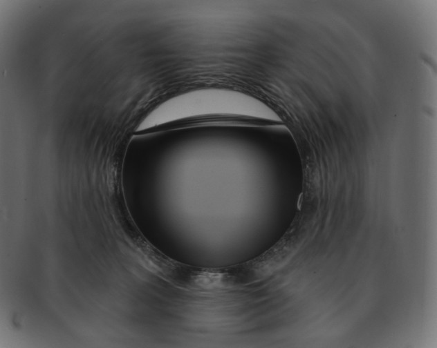 X0000091720227200709211007