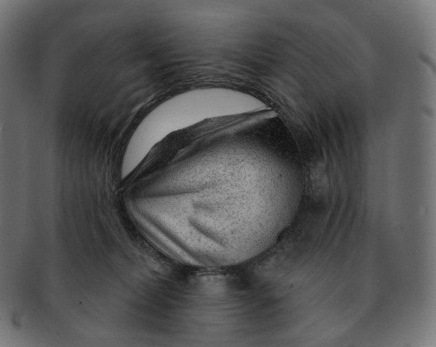 X0000091720228200709211007