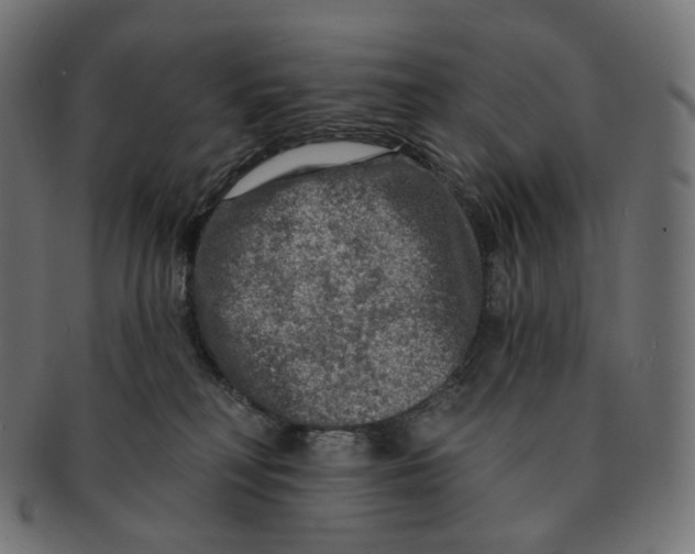 X0000091720230200709211007