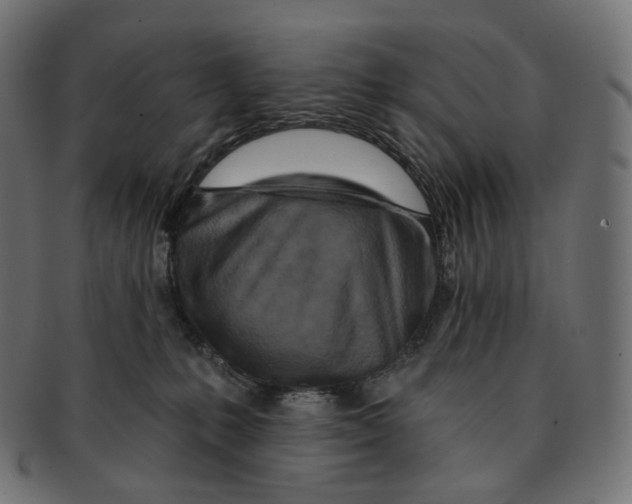 X0000091720231200709211007