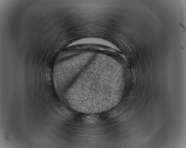 X0000091720232200709211007