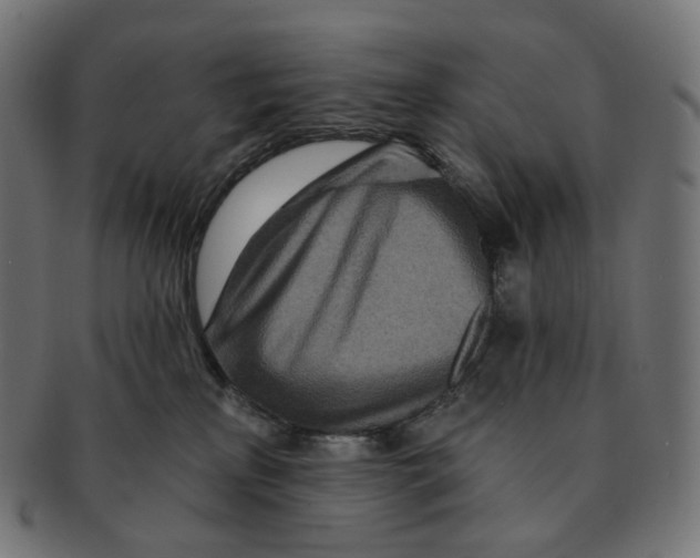 X0000091720233200709211007