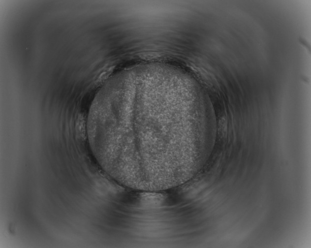 X0000091720234200709211007