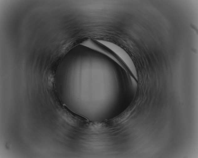 X0000091720235200709211007