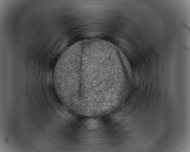 X0000091720236200709211007