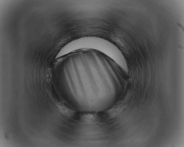 X0000091720237200709211007