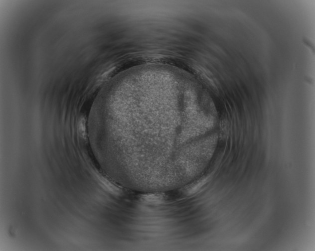 X0000091720238200709211007