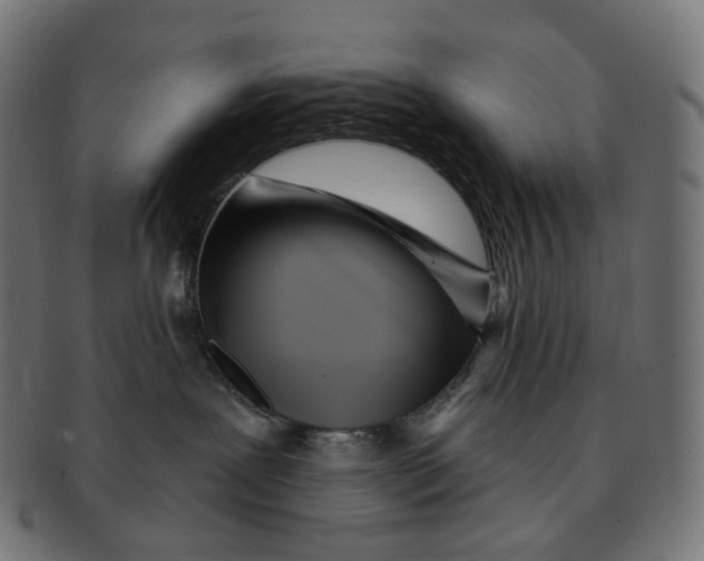 X0000091720239200709211007