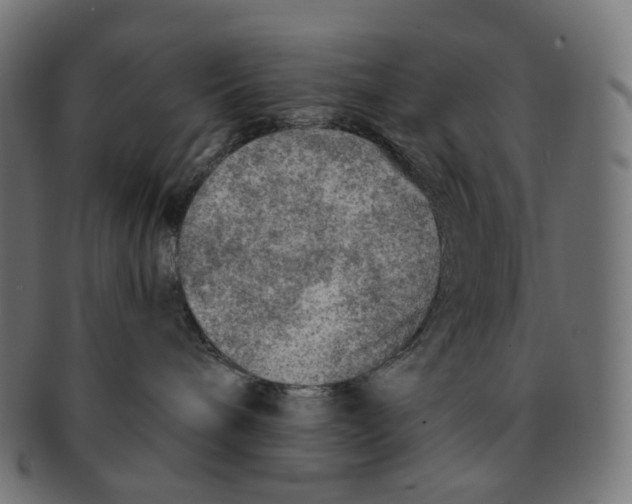 X0000091720240200709211007