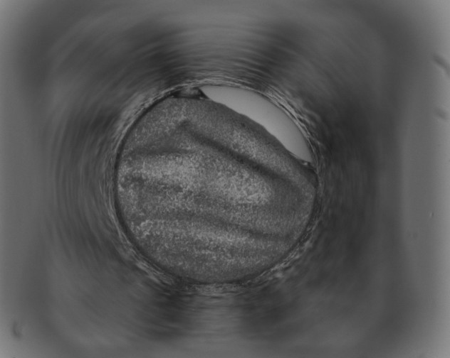 X0000091720241200709211006