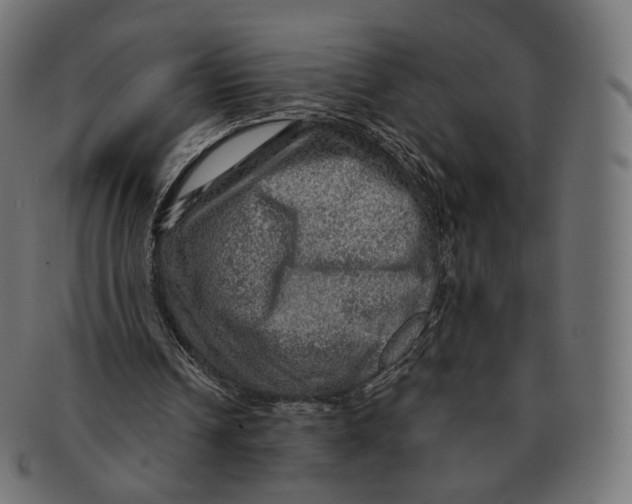 X0000091720242200709211006