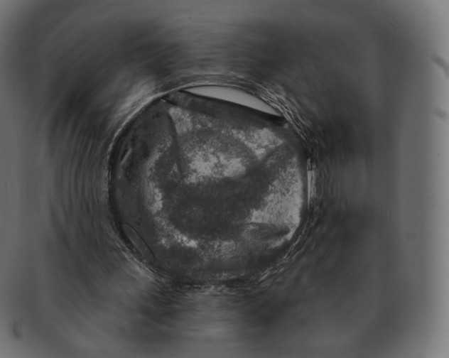 X0000091720243200709211006