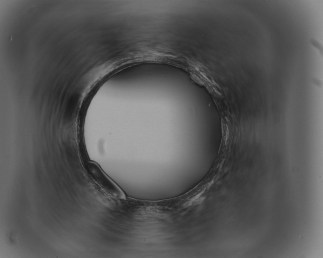 X0000091720244200709211006