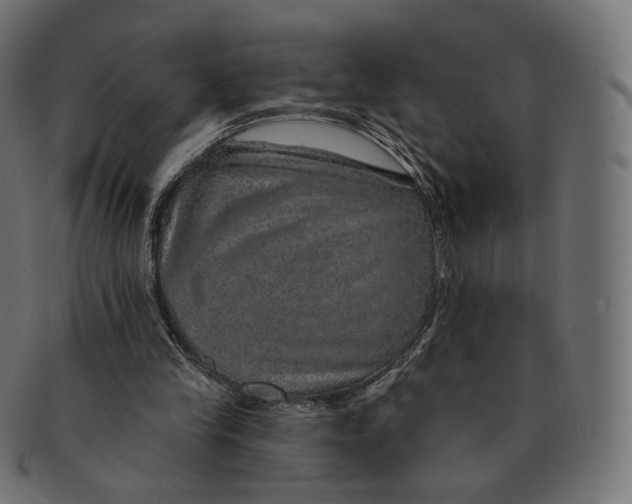 X0000091720245200709211006