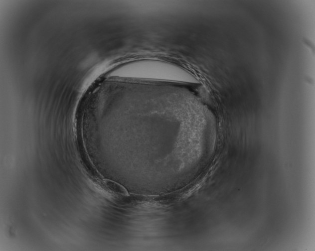 X0000091720246200709211006