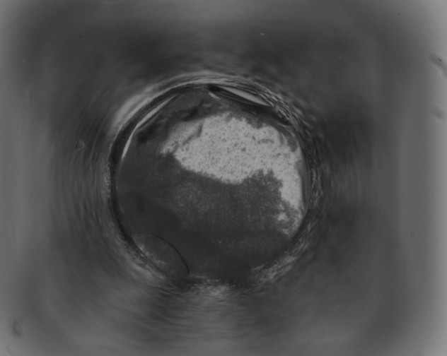 X0000091720247200709211006