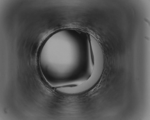 X0000091720248200709211006