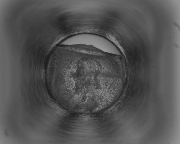 X0000091720249200709211006