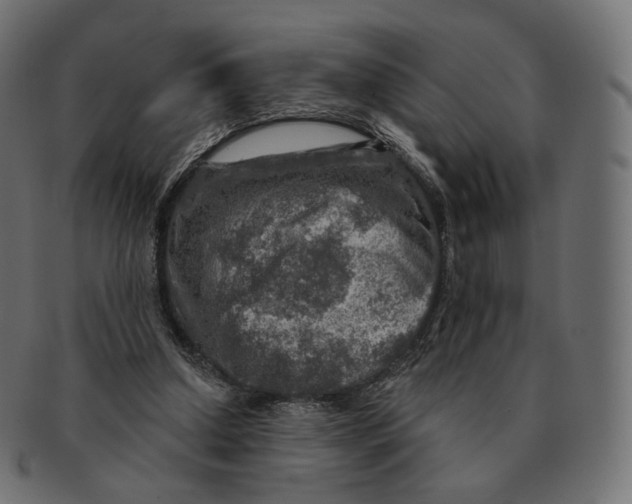 X0000091720250200709211006