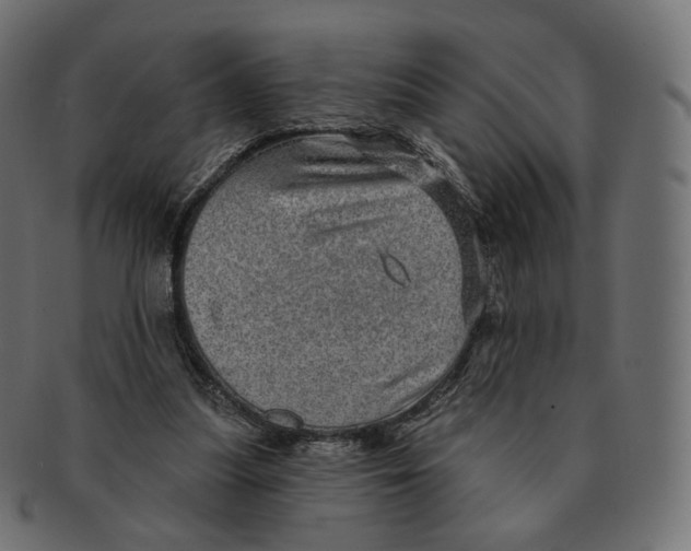 X0000091720251200709211006