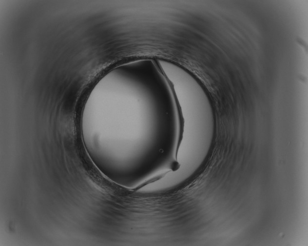 X0000091720252200709211006