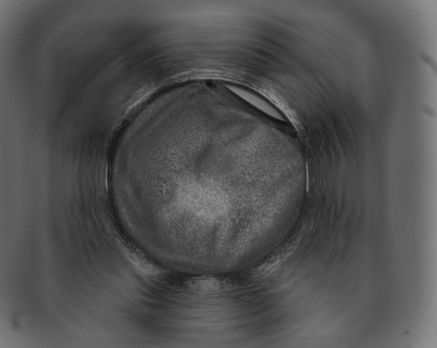 X0000091720253200709211006