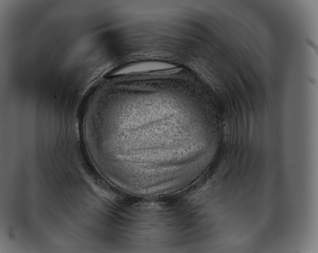 X0000091720254200709211006