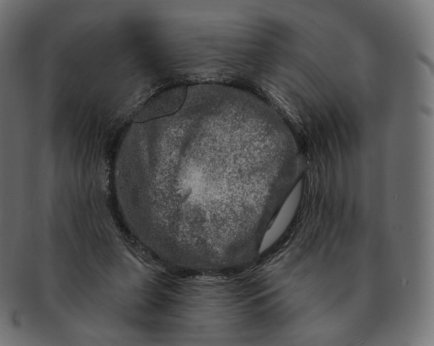 X0000091720255200709211006