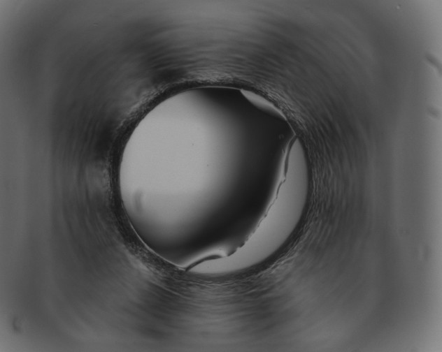 X0000091720256200709211006