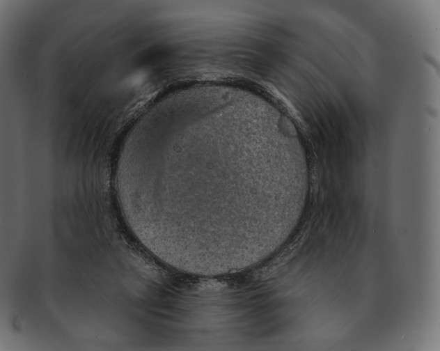 X0000091720257200709211006