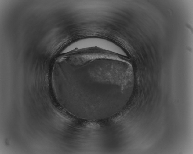 X0000091720258200709211006