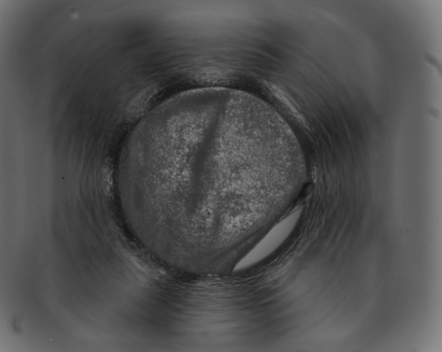 X0000091720259200709211006