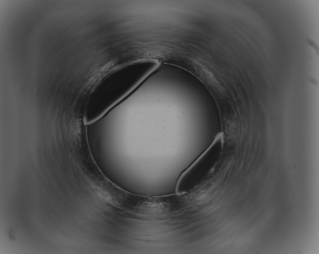 X0000091720260200709211006