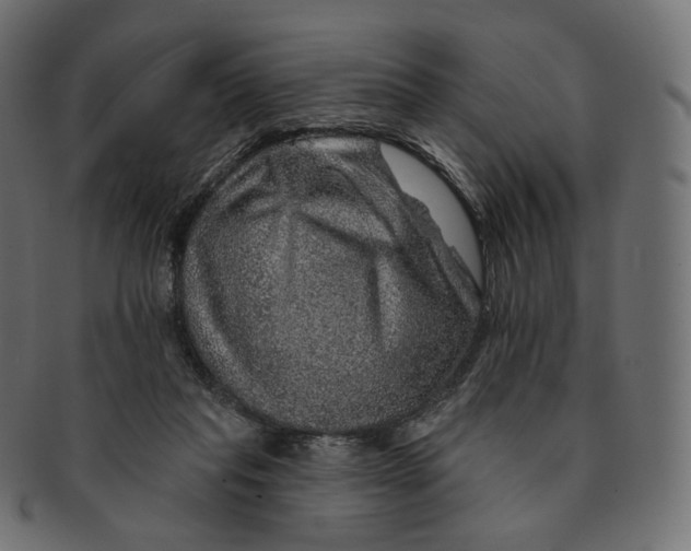 X0000091720261200709211006