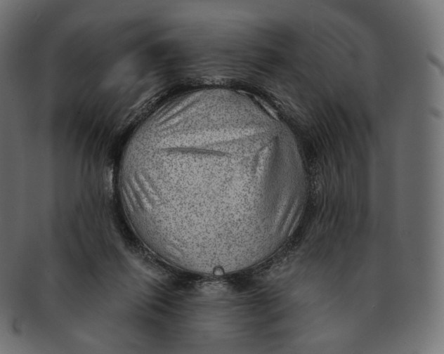 X0000091720262200709211006