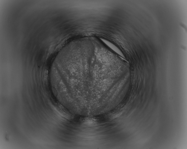 X0000091720263200709211006