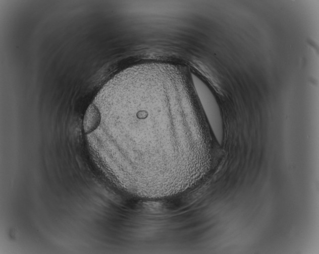 X0000091720265200709211006