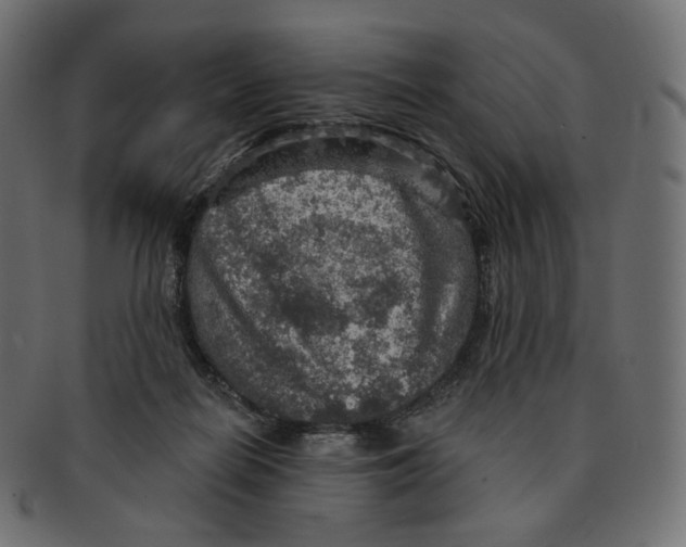 X0000091720266200709211006