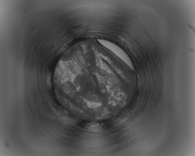 X0000091720267200709211006